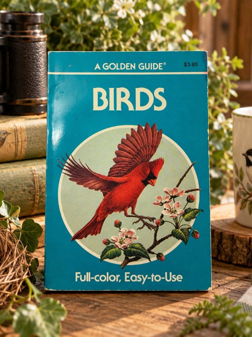 Vintage 1987 Golden Guide Birds Book – Full-Color American Bird Field Guide